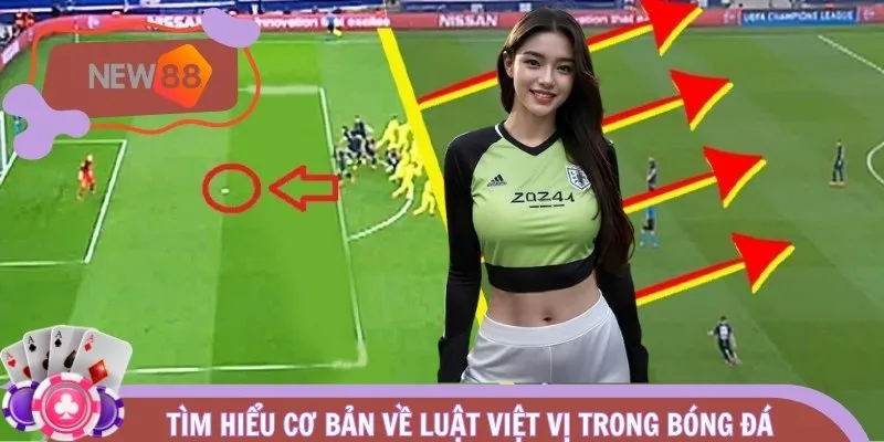 Tìm hiểu cơ bản về luật việt vị trong bóng đá 